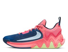 Кросівки Nike Giannis Immortality 2 Pink Gaze - оригінал в Україні