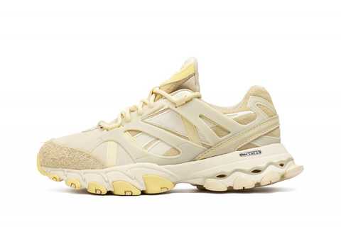 reebok dmx trail shadow beige